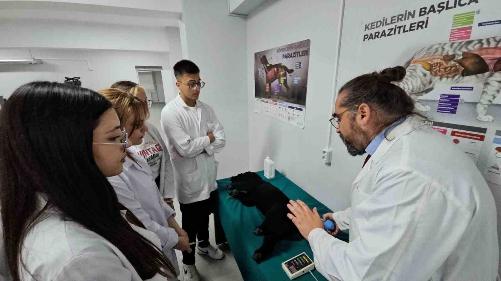 turkiyede bir ilk meslek yuksekokulunda veteriner saglik egitimi simulatorlerle veriliyor Acuz1aDY