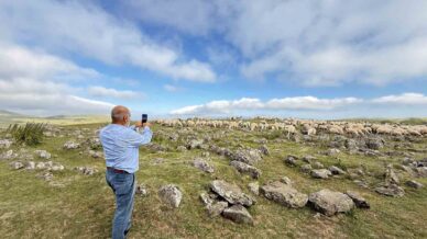 tuz tasi olarak kecilere yalatilan kayalarin turk beyliklerinin savas alanindaki mezar taslari oldugu anlasildi QpqSb3Yr