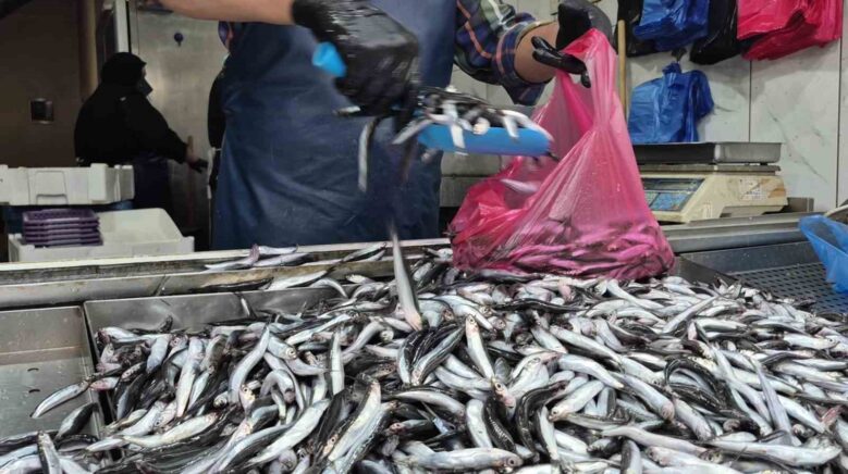 yaz sicaklari palamudu vurdu yerini hamsi aldi aCdiUNON