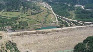 yok olma tehlikesi bulunan bag havacivasi bitkisi baraj sulari altinda kalmaktan kurtarildi z7BjJDsB