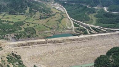 yok olma tehlikesi bulunan bag havacivasi bitkisi baraj sulari altinda kalmaktan kurtarildi z7BjJDsB