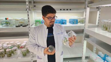 yuksek antioksidan kapasiteye sahip yeni domates gelistirilecek K4Q1UrPW