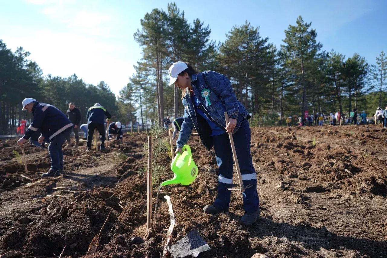KARDEMIRden Fidan Dikim Seferberligine Destek 2