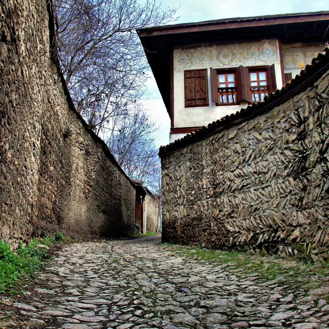 SnapInsta.to 587686781 18381897871178246 2130611540395041977 n