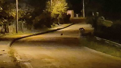 ac kalan cakal yavrulari bartin sehir merkezinde goruntulendi jEWtSwLj