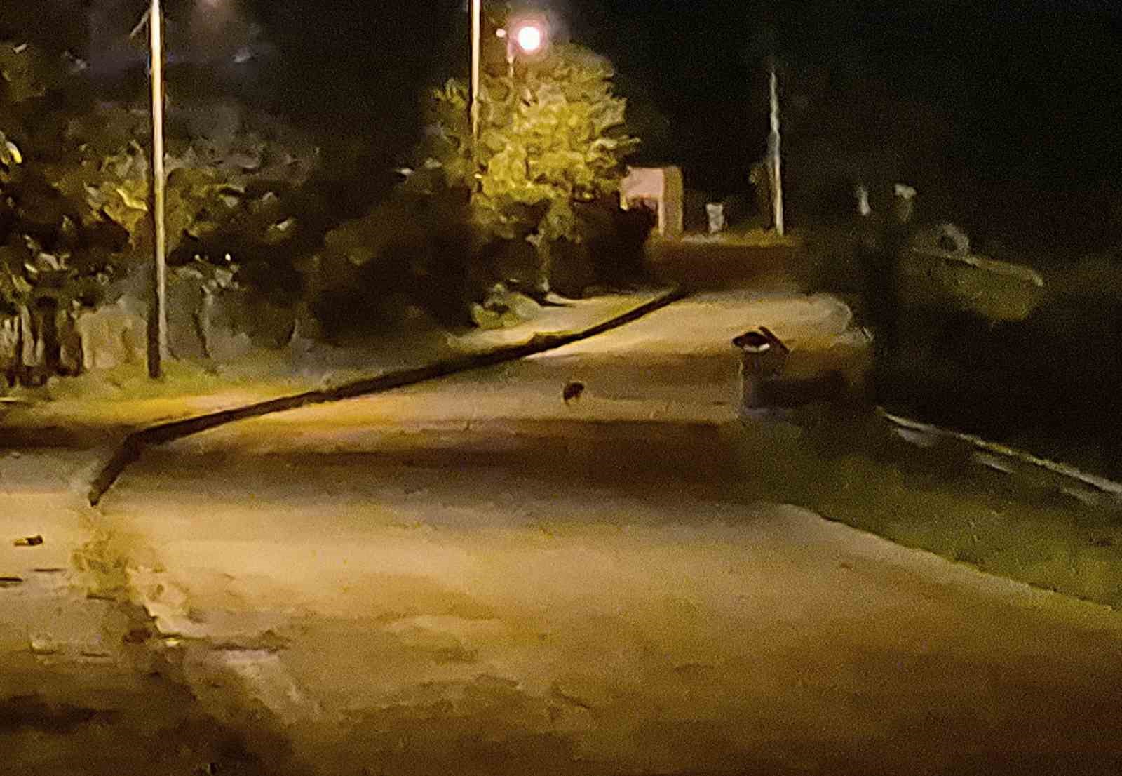 ac kalan cakal yavrulari bartin sehir merkezinde goruntulendi jEWtSwLj