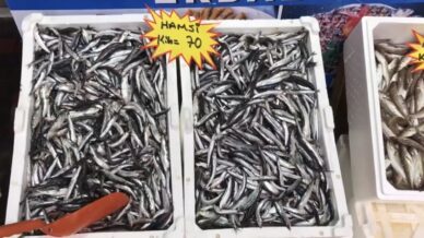 akcakocadan balik tuketicilerine uyari buzhane baligina dikkat iDX7LwPv