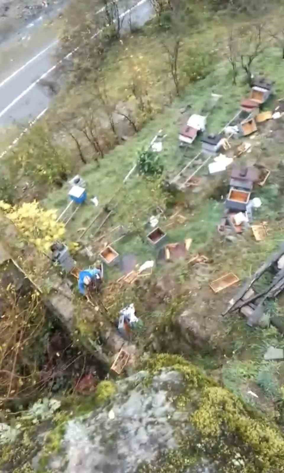 araklida ayilar 50den fazla kovani telef etti VbQGvPCZ