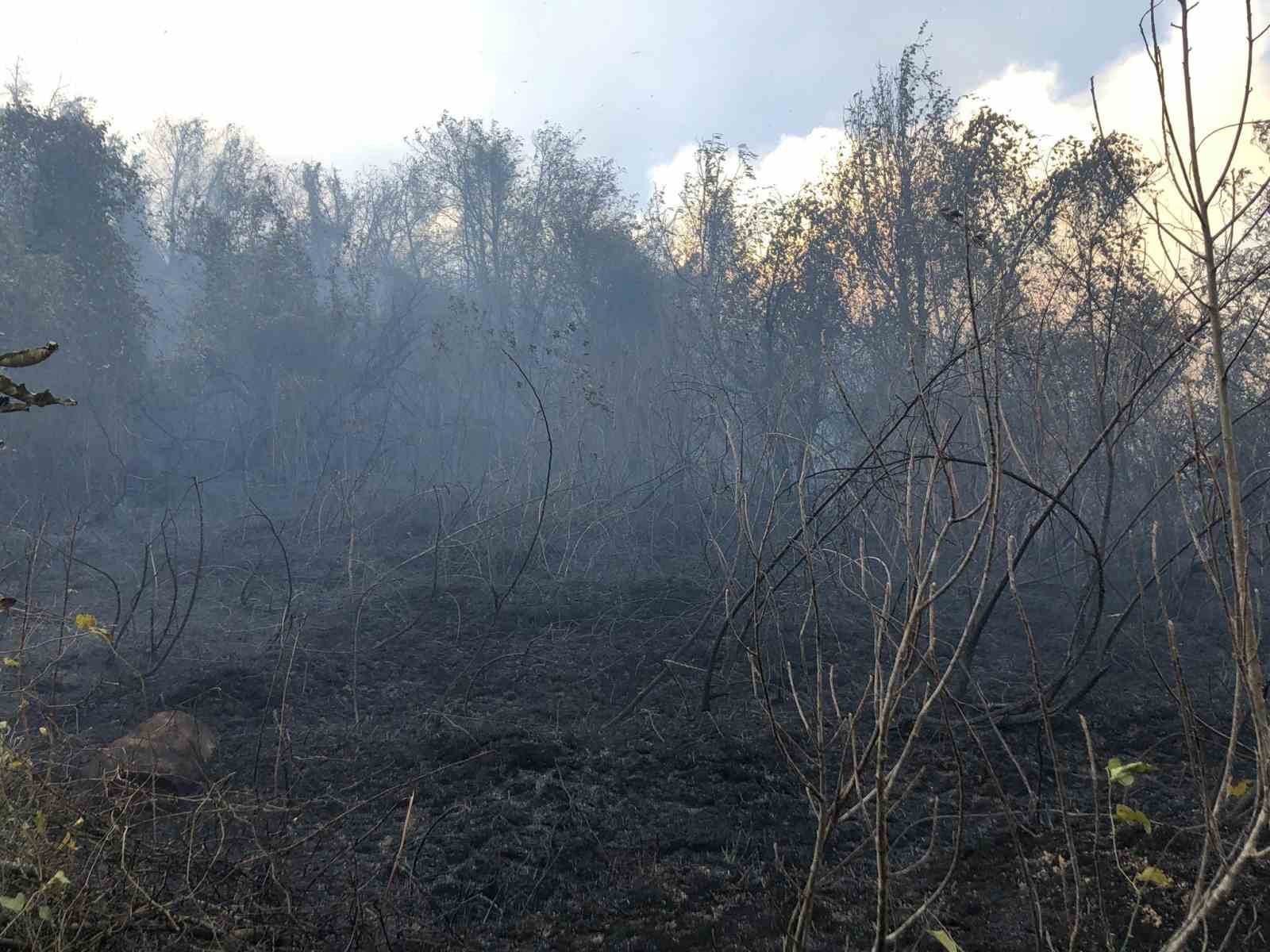 artvin hopada ziraat alaninda cikan yangin ormana sicradi P7yrvSs4