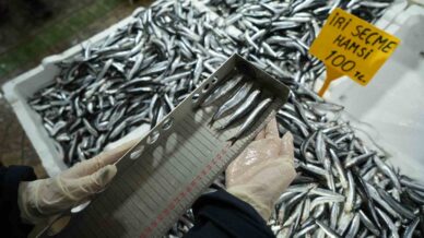 balik tezgahlarina yakin markaj 109 kisi ve isletmeye 25 milyon tl ceza fCEP28gQ