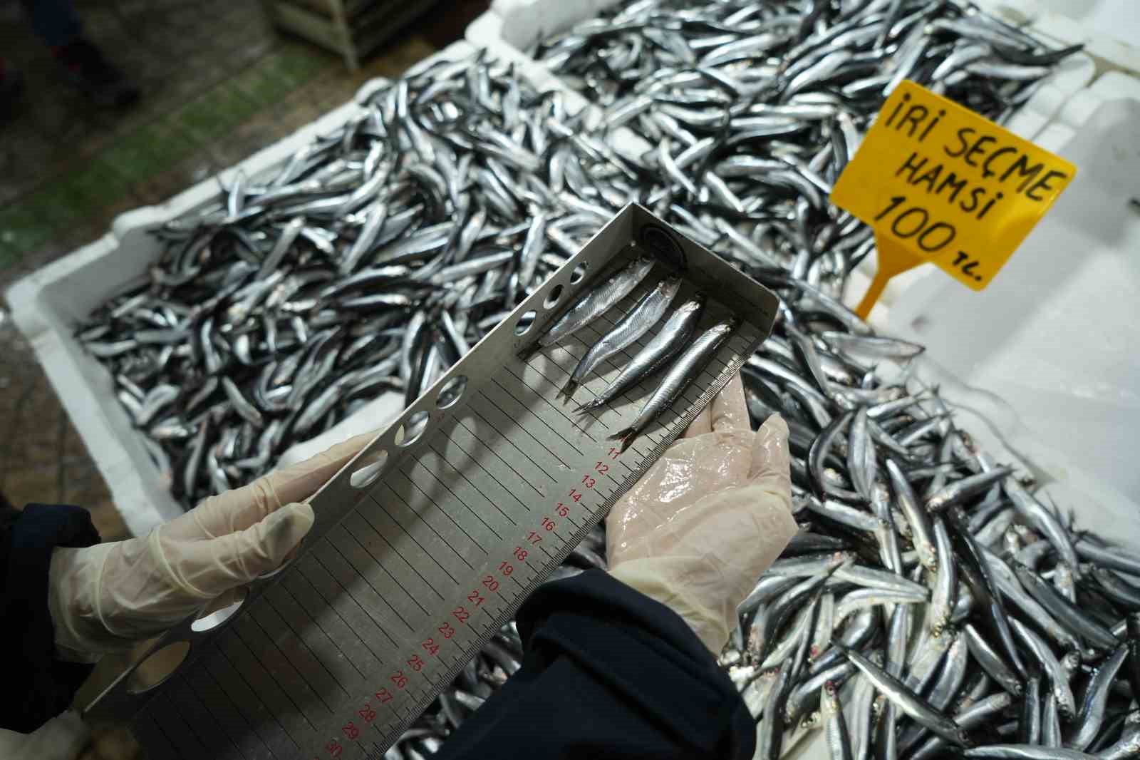 balik tezgahlarina yakin markaj 109 kisi ve isletmeye 25 milyon tl ceza fCEP28gQ