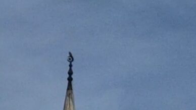 bartinda gokdogan heyecani wAshLXDi