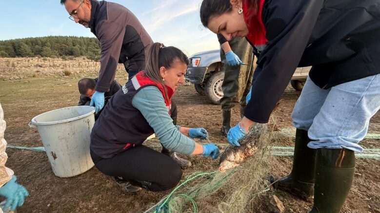 boluda 5 kilometrelik hayalet ag toplandi 500 balik canli kurtarildi 4PnpjiMd