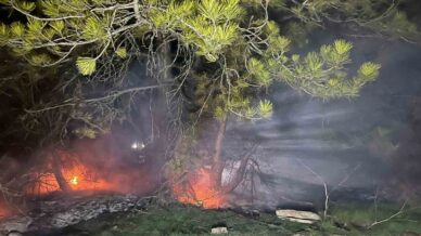 boluda ormanlik alanda yangin cikti EGDucGOK