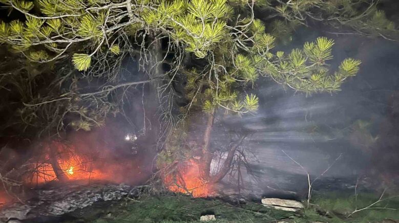boluda ormanlik alanda yangin cikti EGDucGOK