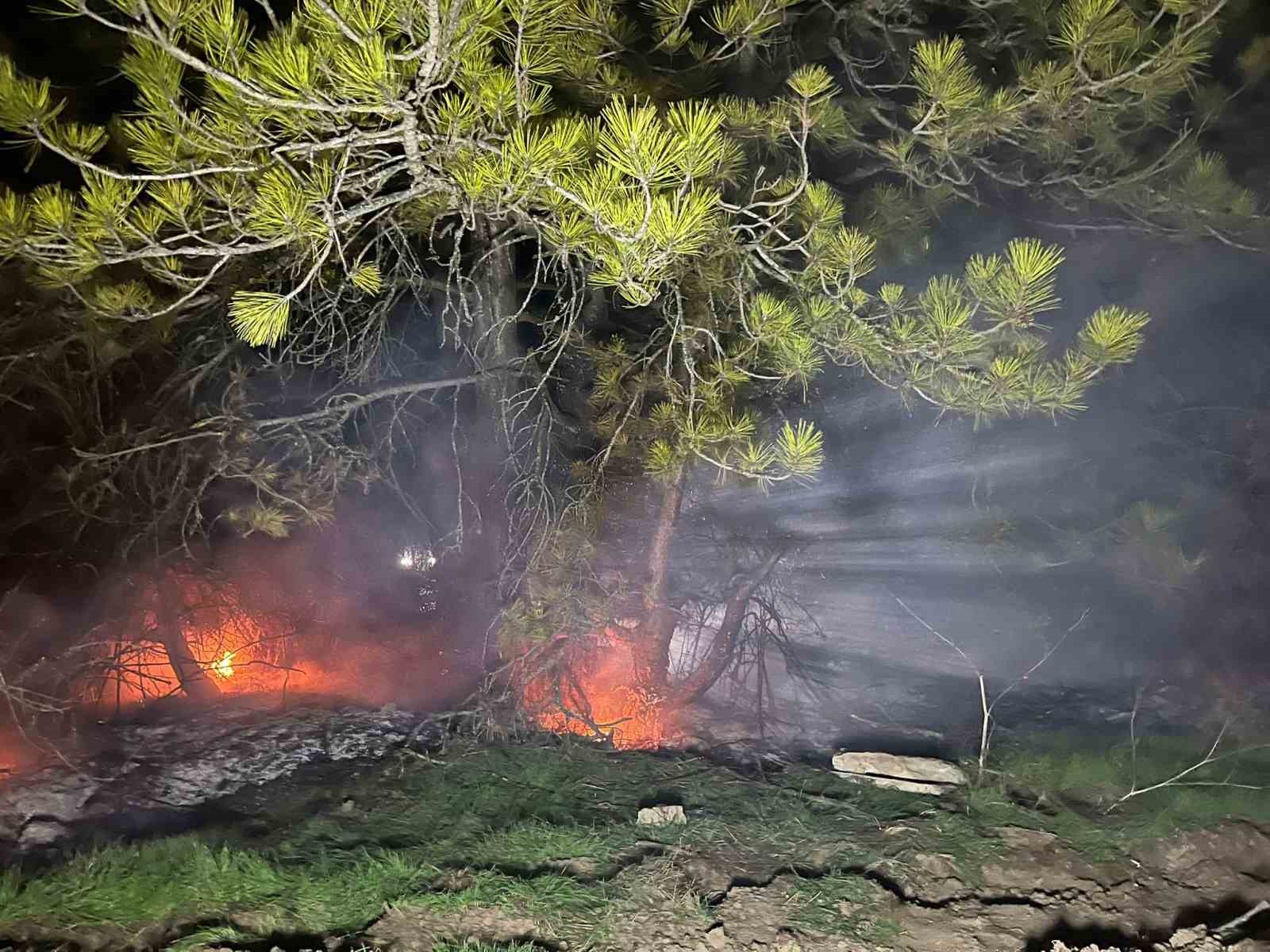 boluda ormanlik alanda yangin cikti EGDucGOK