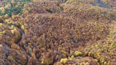 boluda ormanlik alanlarda sonbahar guzelligi z82wrYON