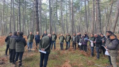 boluda saglikli ormanlar icin ekipler sahaya indi bDwp6t9T