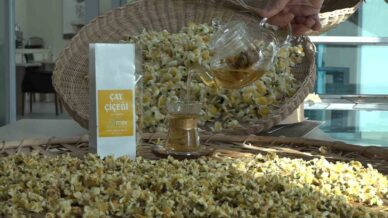 cayin yeni urunu cay cicegi cayi 6 bin tlden satiliyor m65seM1c