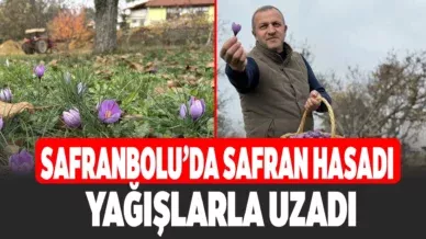 cccccccccccccccccccccccccccccccccccccccc