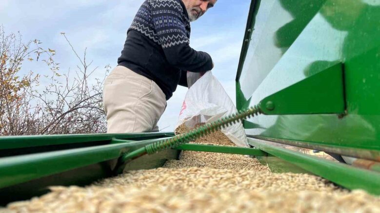 ciftcilerin ekim mesaisi basladi 12 bin yillik siyez toprakla bulustu Jcxf4Clp