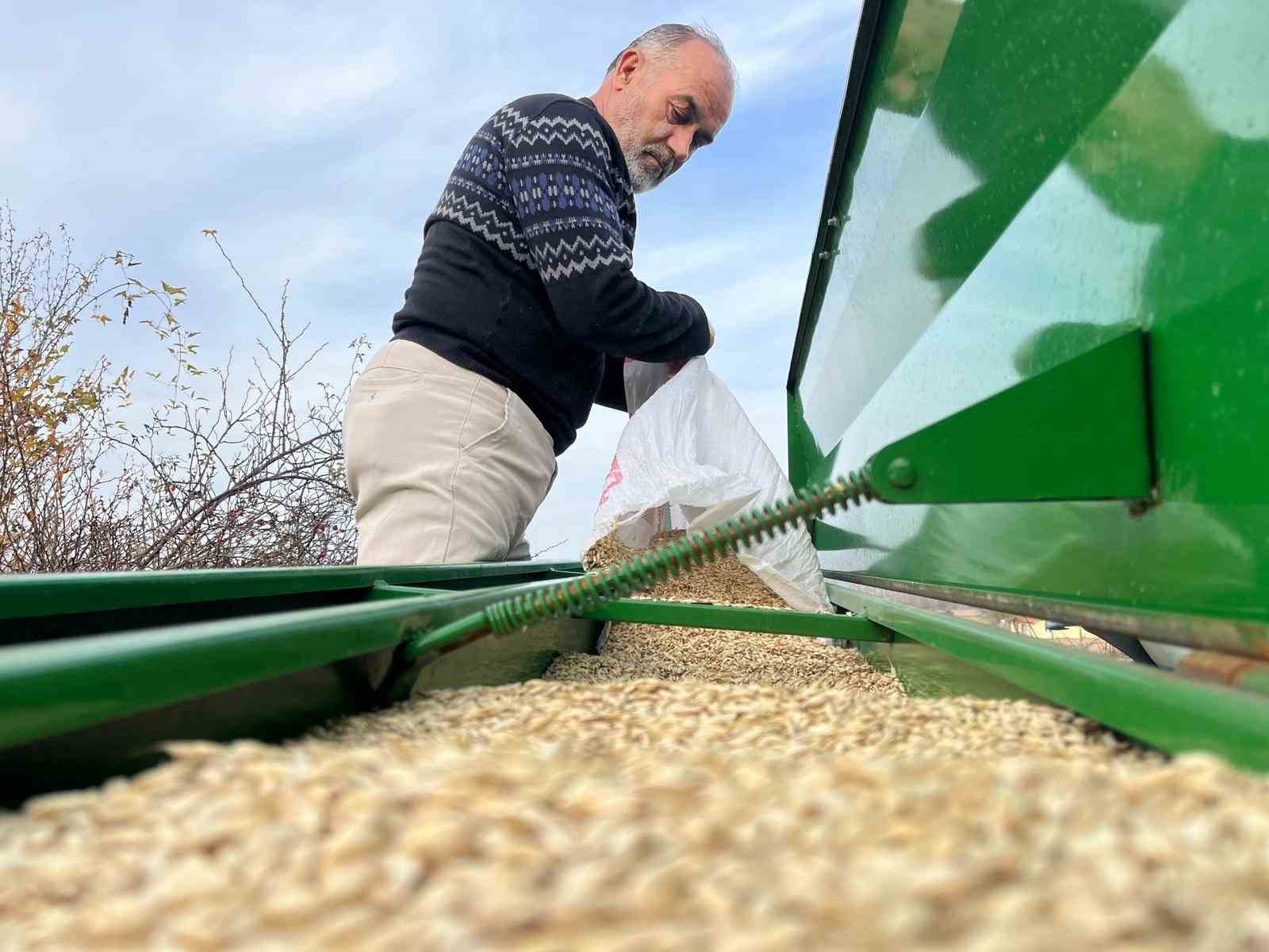 ciftcilerin ekim mesaisi basladi 12 bin yillik siyez toprakla bulustu