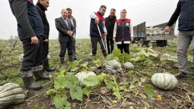 cografi isaretli kestane kabagi hasadi basladi yFkTZPt7