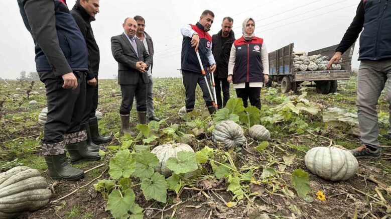 cografi isaretli kestane kabagi hasadi basladi yFkTZPt7