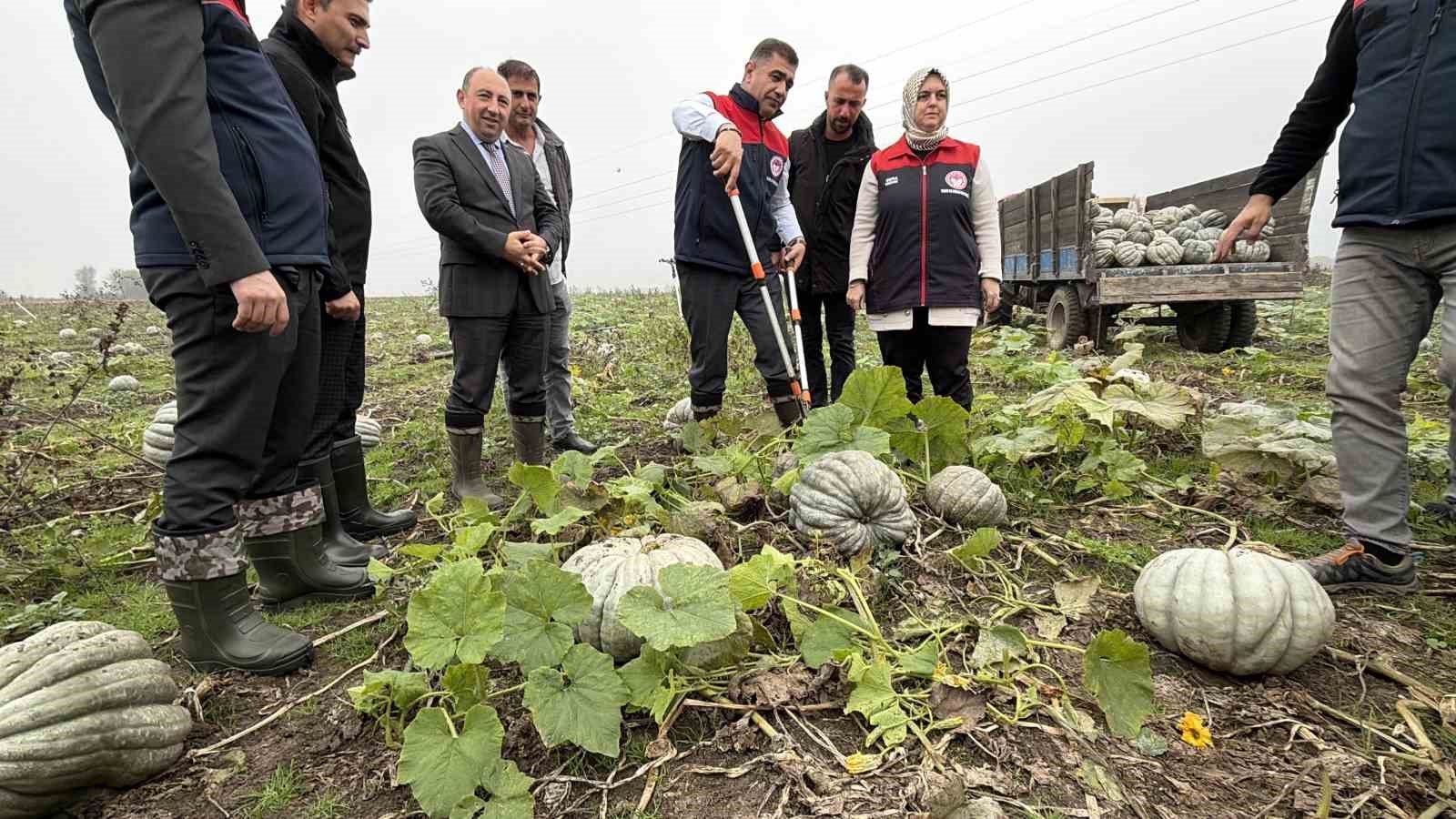 cografi isaretli kestane kabagi hasadi basladi yFkTZPt7