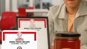 devrekte kestane bali tescillendi MWUysbcD