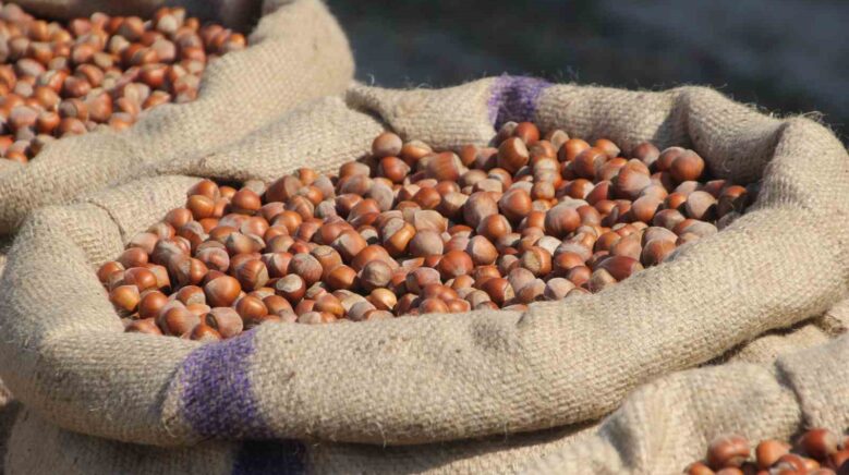 findik ureticilerinden ferreroya manipulasyon tepkisi amac ureticiyi panikletip ucuza findik almak hbON3XZK