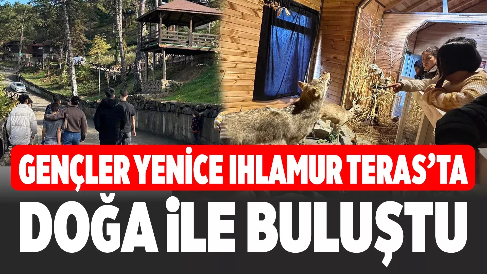 genc 1