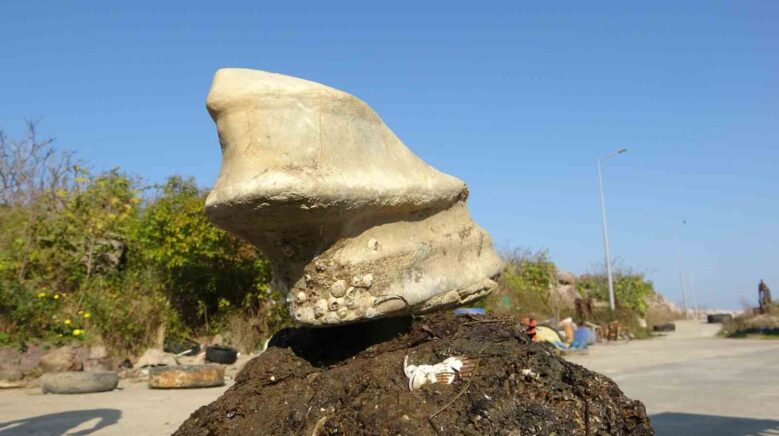 giresunun bulancak ilcesinde denizde bulunan cisim balikcilari sasirtti 96rN7Z98