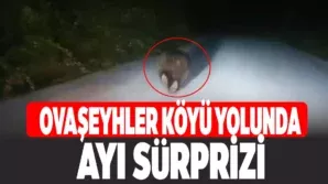 Karabük’te yolda koşan ayı kamerada