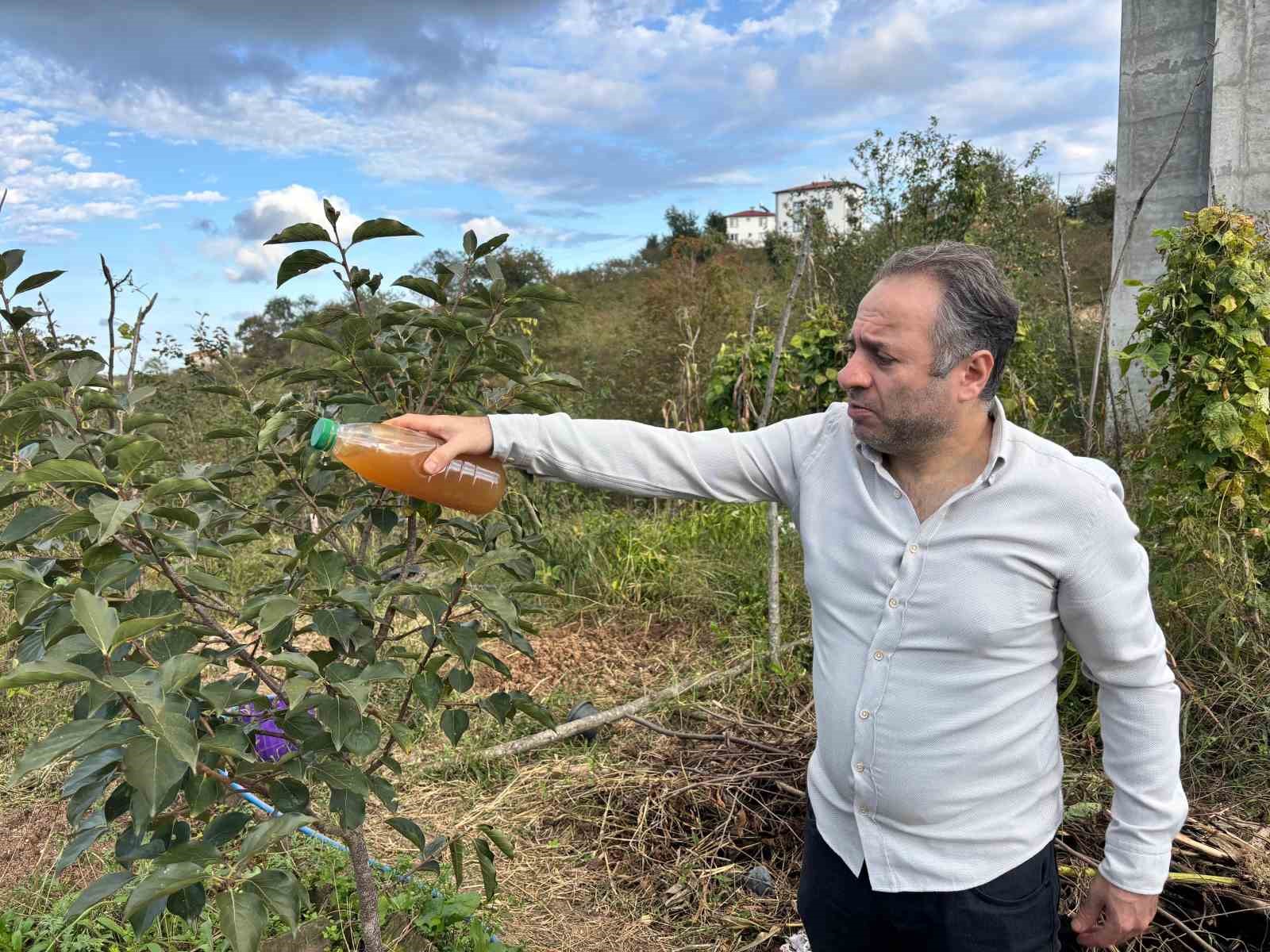 kadife cicegi ve soganla kahverengi kokarcaya dogal cozum uNhZN9Kq
