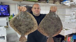 karadenizde hamsi bereketi diger balik turlerini de canlandirdi qCclWpsv