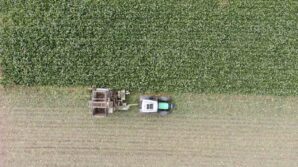 kastamonuda ciftcilerin zorlu pancar mesaisi devam ediyor BPRNphcj