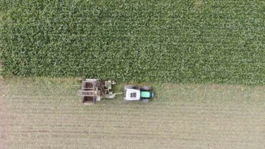 kastamonuda ciftcilerin zorlu pancar mesaisi devam ediyor BPRNphcj