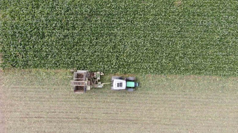 kastamonuda ciftcilerin zorlu pancar mesaisi devam ediyor BPRNphcj