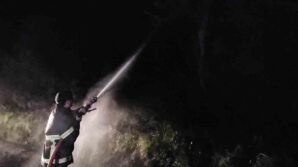 kastamonuda cikan orman yangini sonduruldu ckUmQzH6