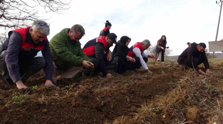 kastamonuda kadinlara guc veren proje 38 bin fide dagitimi yapildi dpMRqndB