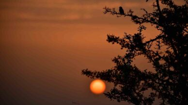 kus cennetinde sonbahar reCFtiAB