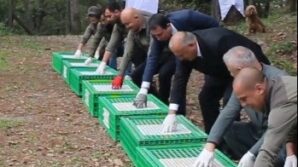 orduda dogaya 200 sulun salindi TwDbURVB