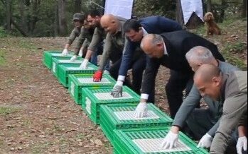 orduda dogaya 200 sulun salindi TwDbURVB