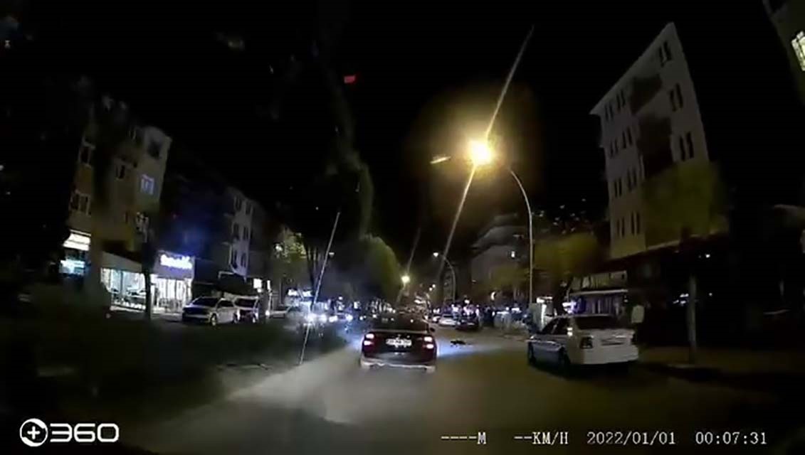 otomobilin altinda kalan kedi telef oldu
