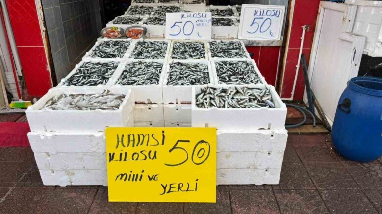 rizede hamsinin fiyati sevenlerinin yuzunu gulduruyor ZlR9uYzN