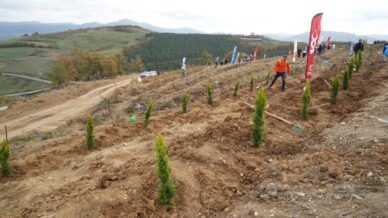 samsunda 11 kasim milli agaclandirma gununde 37 bin 380 fidan toprakla bulusacak D7Xys41a