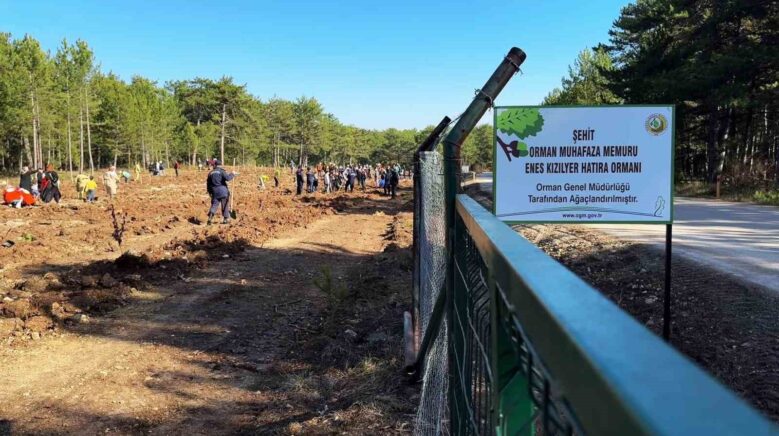 sehit orman iscisi enes kizilyer anisina cesme acilisi ve fidan dikimi yapildi WwHcYkyU