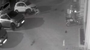 sokak kopekleri park halindeki araci parcaladi o anlar kamerada X7LW8OyE