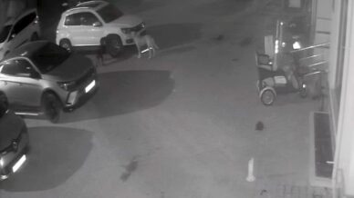 sokak kopekleri park halindeki araci parcaladi o anlar kamerada X7LW8OyE